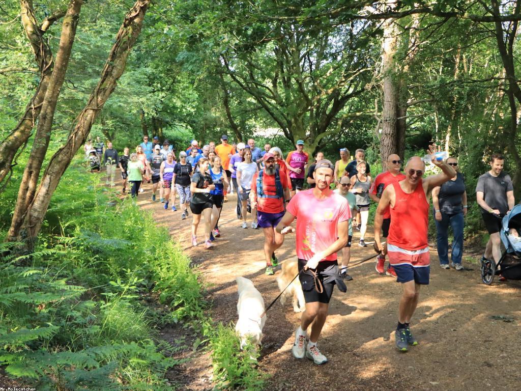 សកម្មភាពពិសេសសម្រាប់ការសម្រាប់ការបញ្ចូលសុខភាព