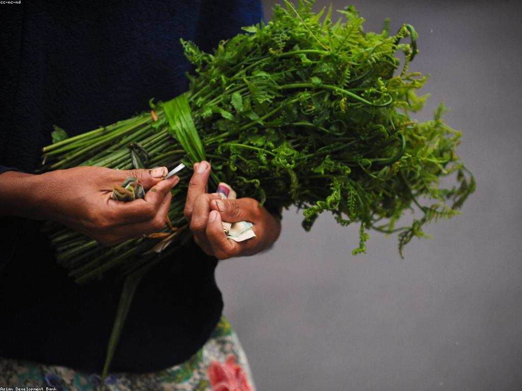 យុត្តិការណ៍ថ្មីៗដើម្បីបង្កើនប្រាក់ចំណូល