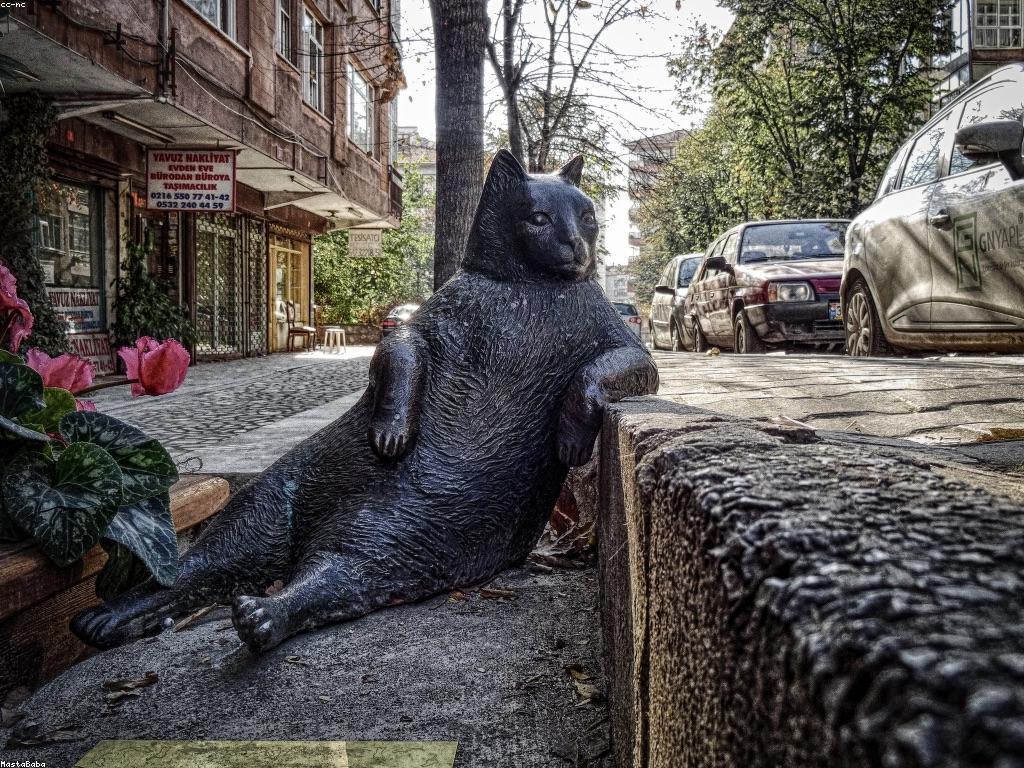 ការយល់ដឹងអំពីគំនិត VIP