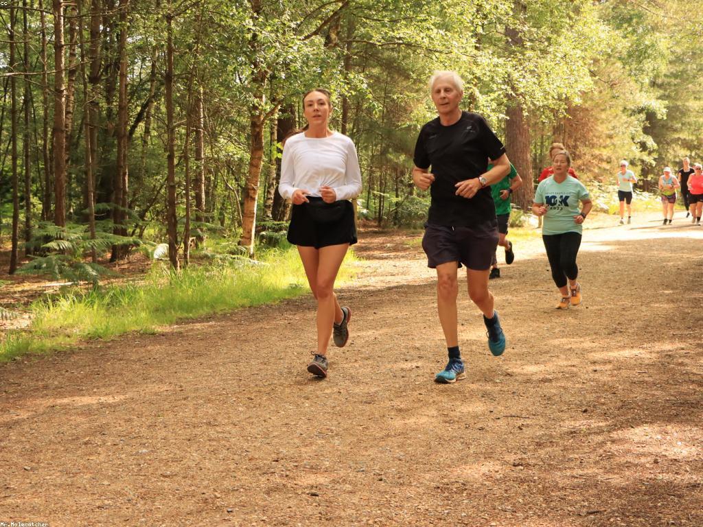 សកម្មភាពពិសេសសម្រាប់សុខភាពផ្លូវការ